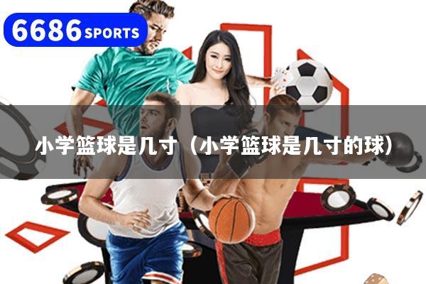 小学篮球是几寸(小学篮球是几寸的球)