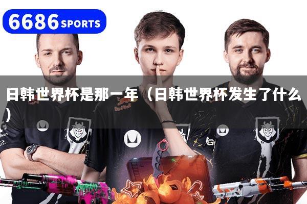 日韩世界杯是那一年（日韩世界杯发生了什么）