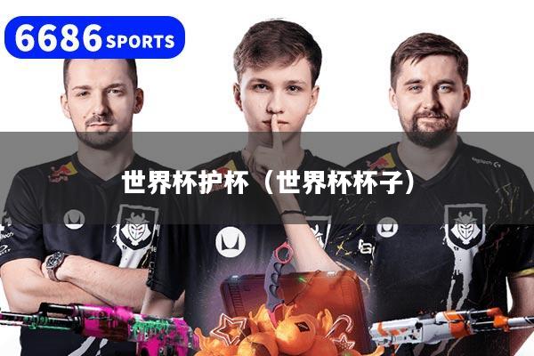 世界杯护杯（世界杯杯子）